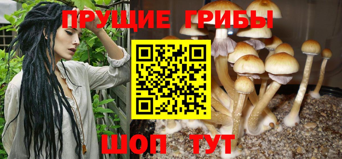 Ивантеевка  Галлюциногенные грибы Magic Shrooms  Псилоцибиновые грибы прущие грибы  Вход с VPN 
